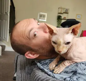 House sitting hairless cat in Morley England